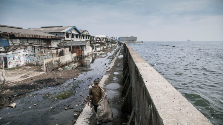 Behind the wall, a man walking on top of a giant sea wall protecting Jakarta