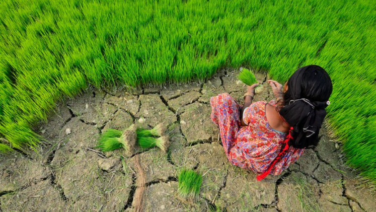 A woman at a field with cracked dry land