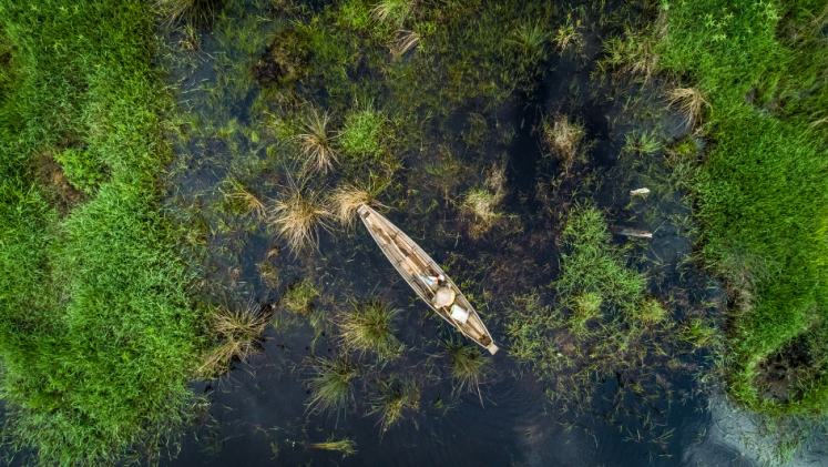 Aerial shot of a boat in the wetlands