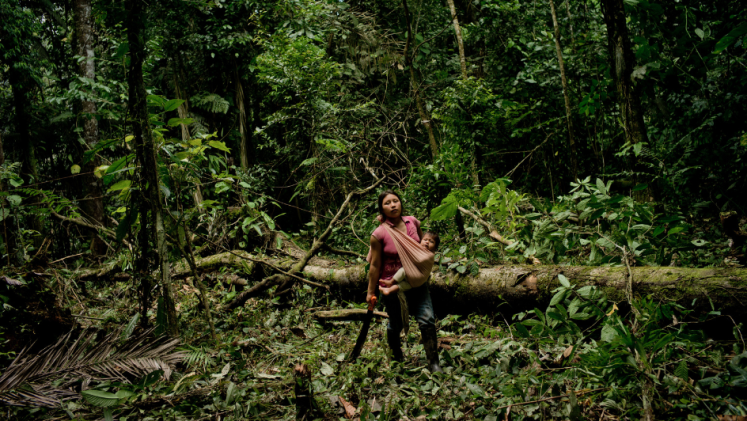 A Kichwa woman takes a rest from cutting down the forest. They are clearing an area to sow corn to feed their livestock near the Napo River in Orellana, Ecuador.